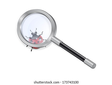 Illustration of magnifying glass and ladybird isolated