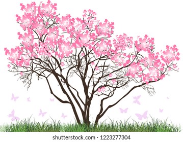 Illustration With Magnolia Blossom Tree In Green Grass