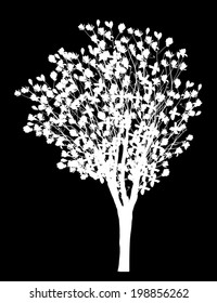 Illustration With Magnolia Blossom Tree Isolated On Black Background