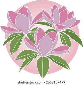 Illustration of magnolia flower with leaf on pink circle background.