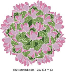 Illustration of magnolia flower with leaf on green circle background.