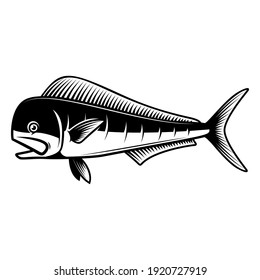 Illustration of mahi mahi fish. Design element for poster card, logo, emblem, sign. Vector illustration