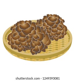 Illustration of the maitake mushroom