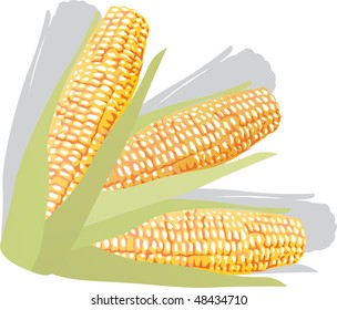 Illustration mit Mais einzeln auf Weiß