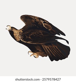 Illustration of a majestic eagle in flight. The eagle's wings are spread wide, showcasing detailed feathers. The eagle soars, symbolizing freedom and strength. Vintage bird illustration vector.