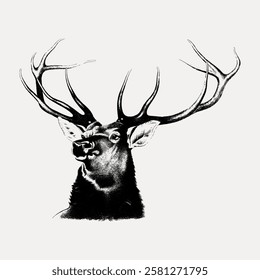 Illustration of a majestic elk with large antlers. The elk's antlers are prominent, regal presence. Elk illustration in black and white, highlighting antlers. Vintage animal illustration vector.