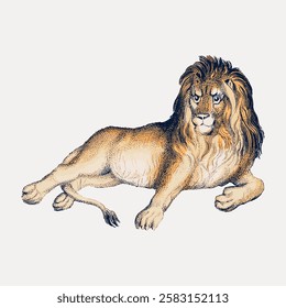 Illustration of a majestic lion lying down. The lion, with a flowing mane, is depicted in a classic style. The lion's regal pose exudes strength and power. Vintage animal illustration isolated, vector