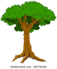 Illustration of majestic tree