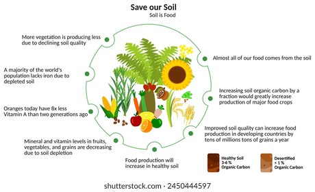 Illustration with major food groups. Save our Soil for all things. Food comes from soil.