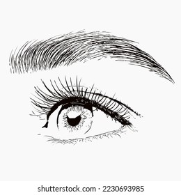 Illustration. The make-up artist does Long-lasting styling of the eyebrows of the eyebrows and will color the eyebrows. Eyebrow lamination. Professional make-up and face care.