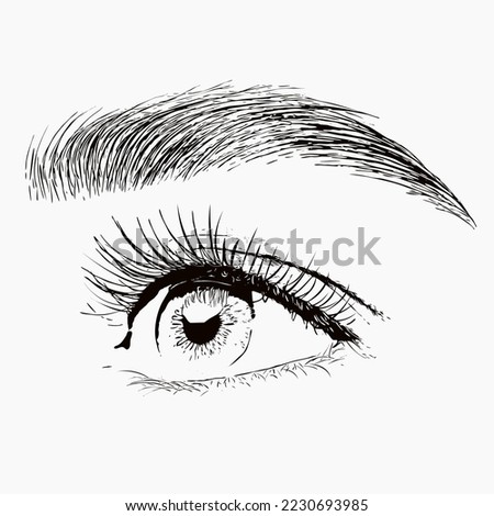 Illustration. The make-up artist does Long-lasting styling of the eyebrows of the eyebrows and will color the eyebrows. Eyebrow lamination. Professional make-up and face care.