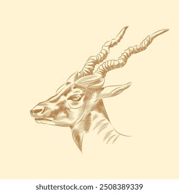 Ilustração de um macho Blackbuck (Antilope cervicapra) também conhecido como Antílope indiano. Ilustração vetorial.