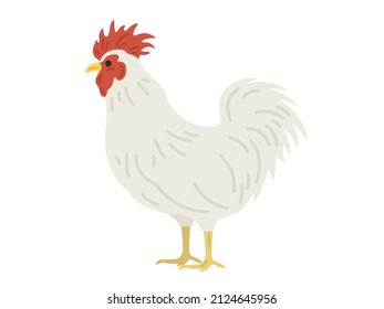 Illustration of a male chicken seen from the side.
