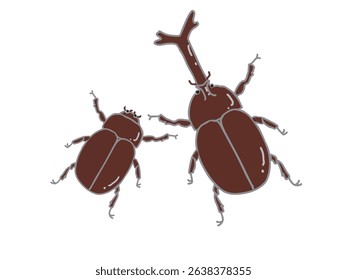 Ilustração de besouros machos e fêmeas