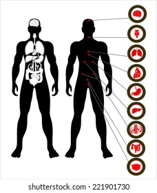 Illustration of a male figure with the internal organs