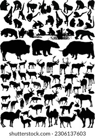 illustration with mammals collection isolated on white background