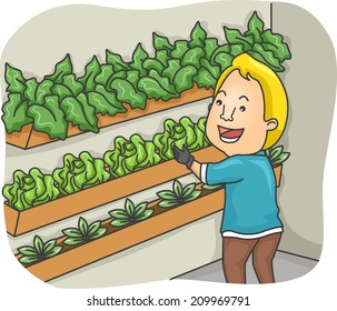 Illustration of a Man Checking the Plants on His Plant Box