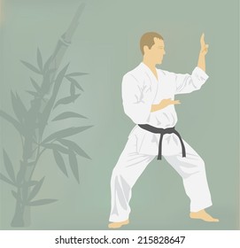 The illustration, the man is engaged in karate.