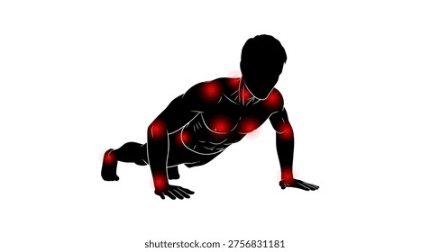 Illustration of a man in pushup position with highlighted muscles