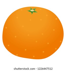 Illustration of the mandarin orange