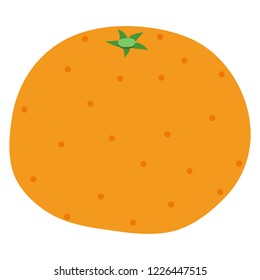 Illustration of the mandarin orange