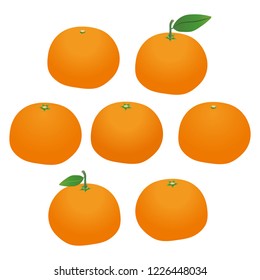 Illustration of the mandarin orange