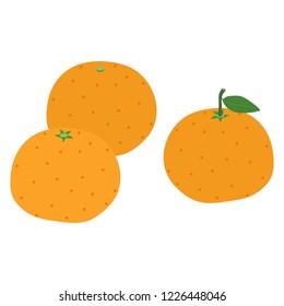 Illustration of the mandarin orange