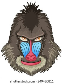 Ilustración de una cabeza de babuino de mandril