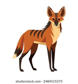 Illustration of Maned Wolf animal on white