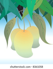 Illustration of mangoes in mango tree