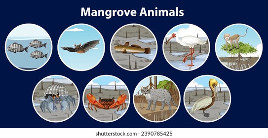 Illustration of mangrove animals in a circular vector art style