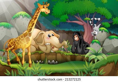 Illustration of many animals in a jungle