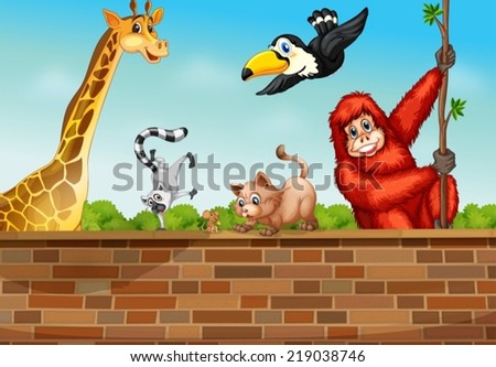 Similar – Image, Stock Photo orangutan Safari Animal