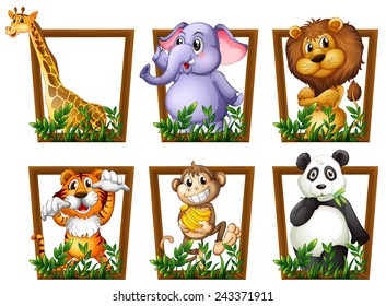 Illustration Of Many Animals In A Wooden Frame