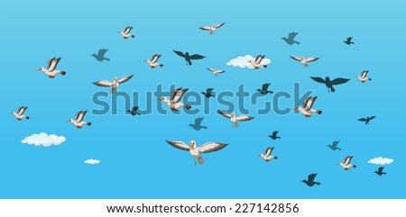 Similar – Image, Stock Photo flock of seagulls