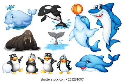 Illustration of many kind of sea animals