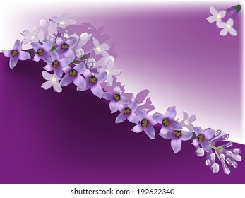 illustration with many lilac flowers