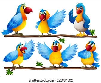 Illustration of many parrots on vine