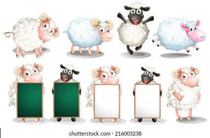 Illustration of many sheeps with different poses