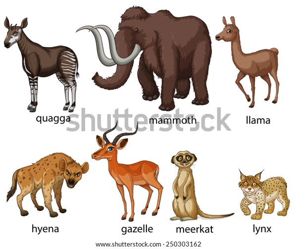 Illustration Many Types Animals Stock Vector (Royalty Free) 250303162