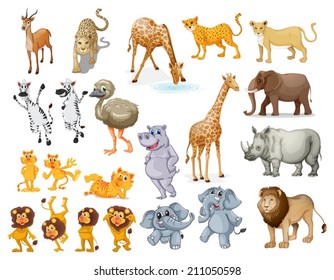 Illustration of many wild animals