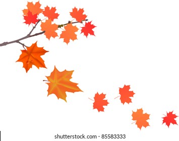 illustration with maple branch and falling leaves