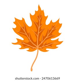 Illustration of maple leaf. Decorative autumn foliage.