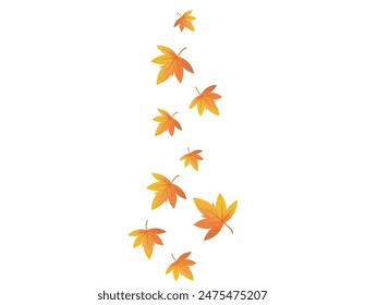 Illustration of maple leaf falling down. Maple leaves　