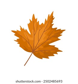Illustration of Maple Leaf icon. Autumn maple leaf vector symbol.