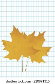 The illustration, maple leaf lies on a notebook.
