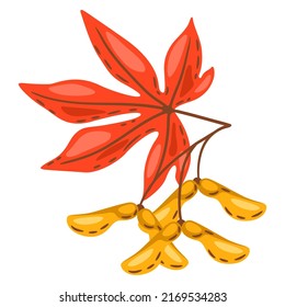Ilustración de hojas de arce con semillas. Imagen de la planta de otoño.