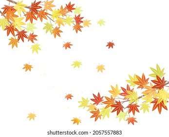 Illustration of maple leaves in autumn colors on a white background