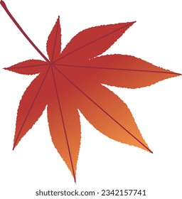 Illustration of maple leaves colored red