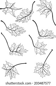 illustration with maple leaves isolated on white background